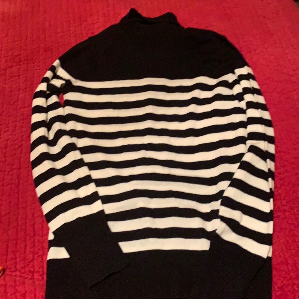 Banana Republic Turtleneck.